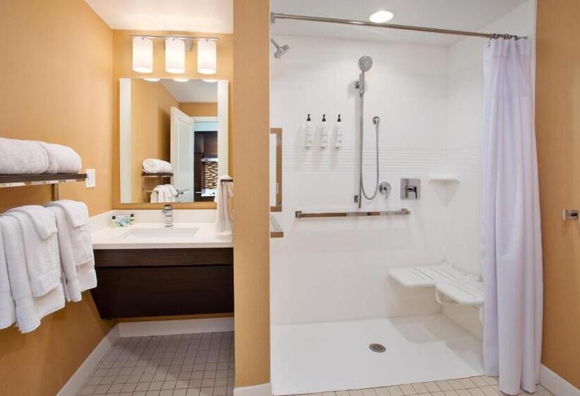 스탠다드 스튜디오, Towneplace Suites By Marriott Detroit Belleville