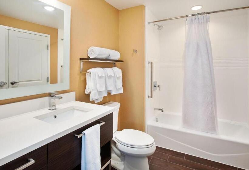 חדר סטודיו סטנדרד, Towneplace Suites By Marriott Detroit Belleville