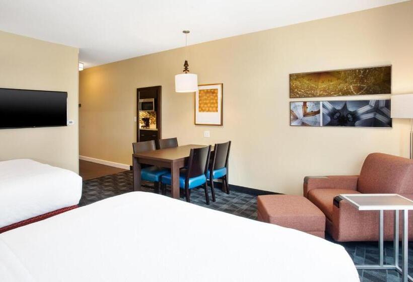 חדר סטודיו סטנדרד, Towneplace Suites By Marriott Detroit Belleville
