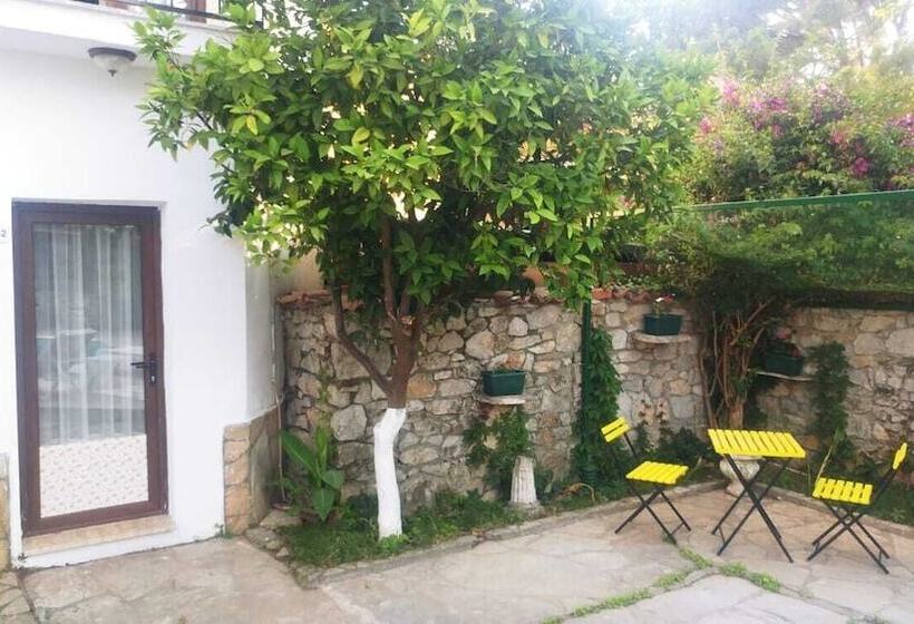 اتاق استاندارد با چشمانداز استخر, Nehir Dalyan Boutique Otel