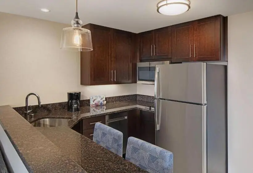 استودیو استاندارد با تخت کینگ, Residence Inn By Marriott Seattle South/renton