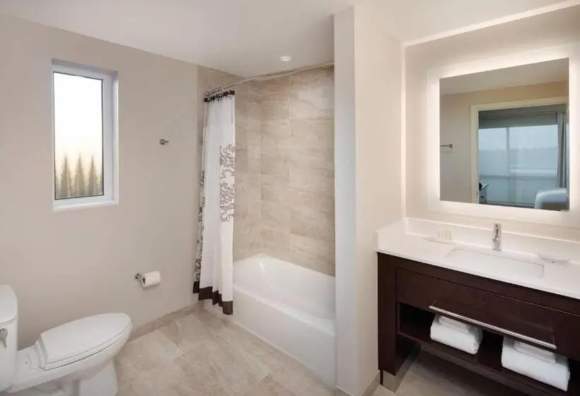 سوئیت با تخت بزرگ, Residence Inn By Marriott Seattle South/renton