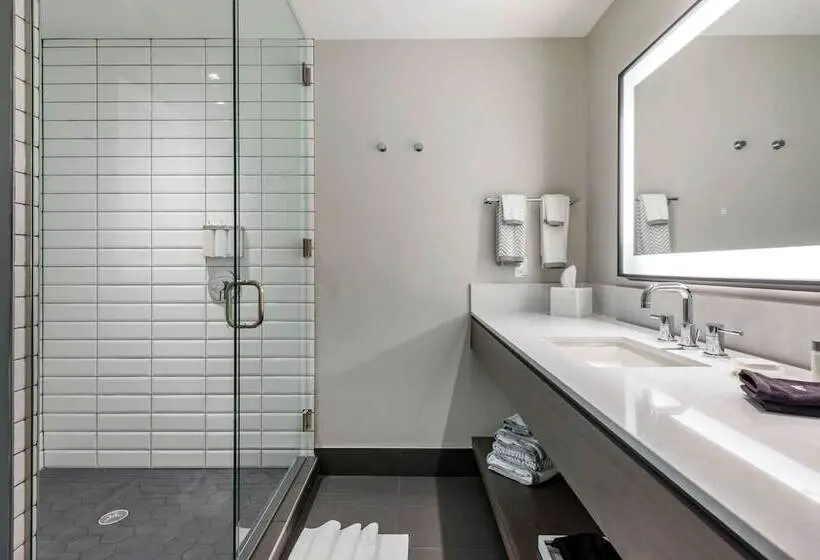 身障者適用スイートルーム, Cambria Hotel Houston Downtown Convention Center