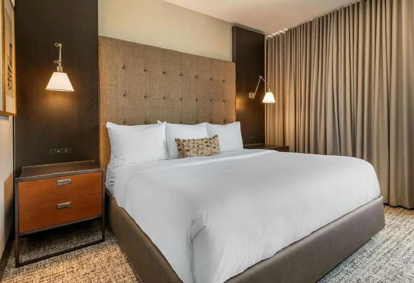 身障者適用キングサイズベッドルーム, Cambria Hotel Houston Downtown Convention Center