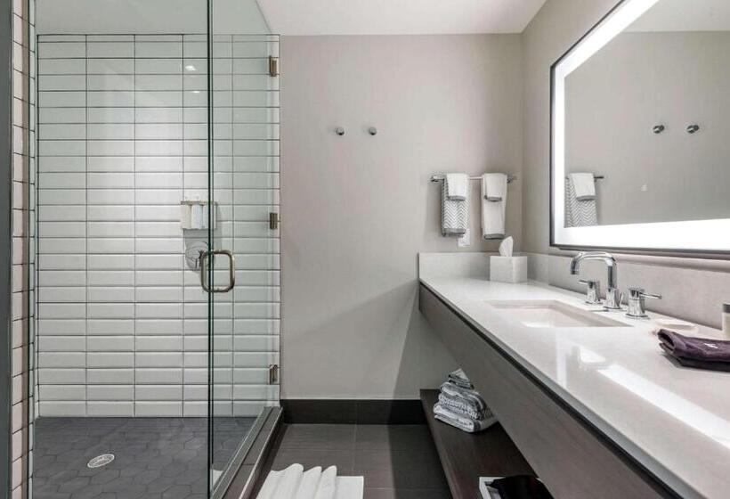 اتاق استاندارد برای معلولان, Cambria Hotel Houston Downtown Convention Center