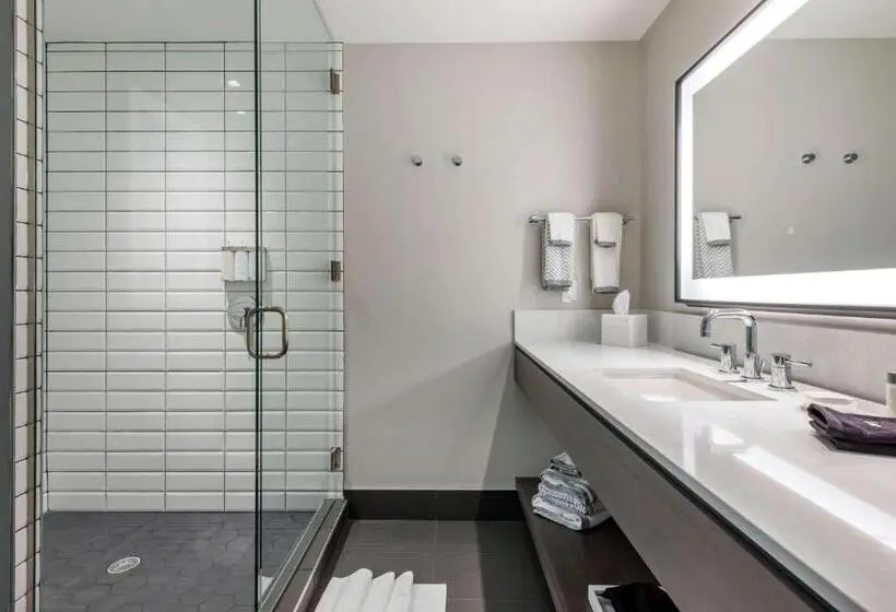 身障者適用スタンダードルーム, Cambria Hotel Houston Downtown Convention Center