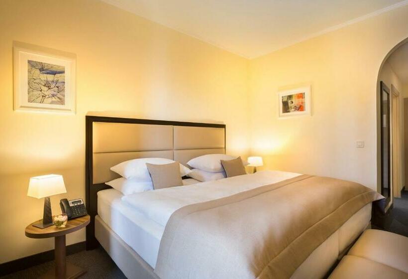 اتاق استاندارد, Remisens Casa Rosa   Hotel Metropol Annexe