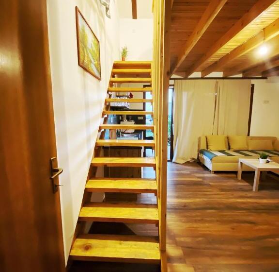 キャビン, Guesthouse Stari Jasen