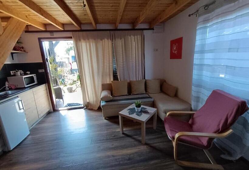 キャビン, Guesthouse Stari Jasen