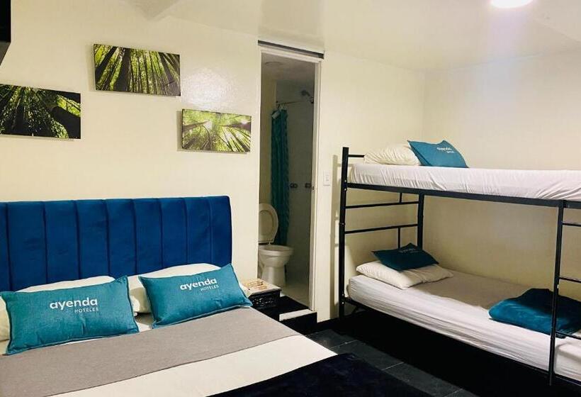 חדר סטנדרט לארבעה, Bogota Home