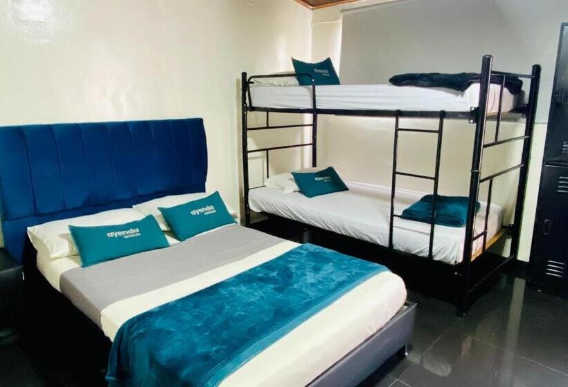 חדר סטנדרט לארבעה, Bogota Home