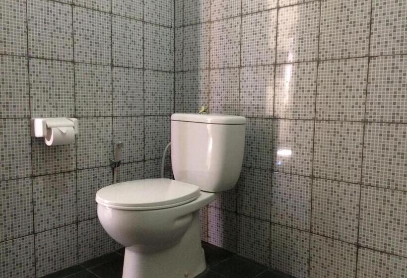 اتاق سوپریور با تخت بزرگ, D Batur