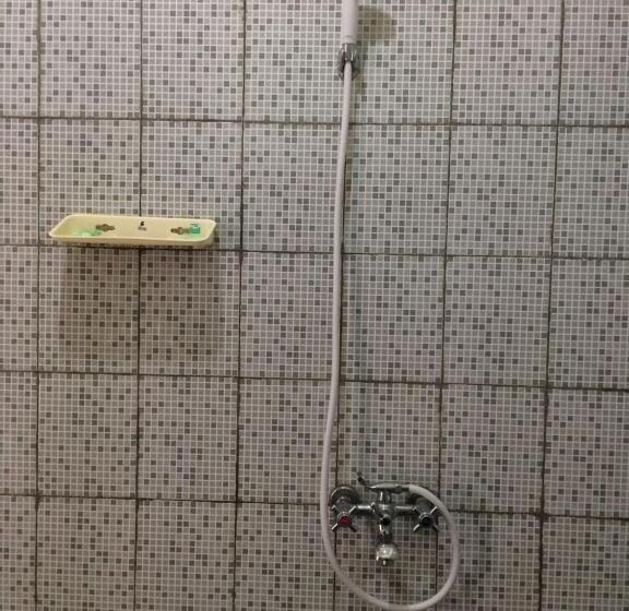 اتاق سوپریور با تخت بزرگ, D Batur