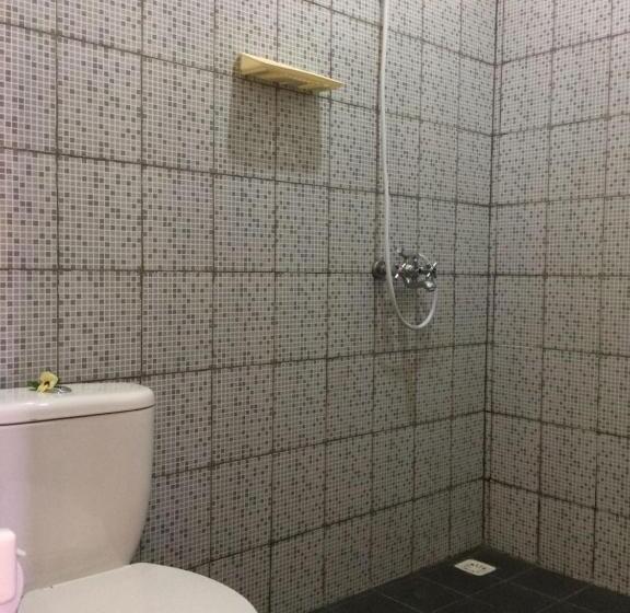 Номер Стандарт, D  Batur