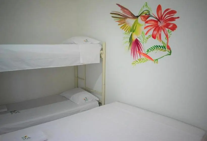 اتاق استاندارد چهار تخته, Casa Ilaria