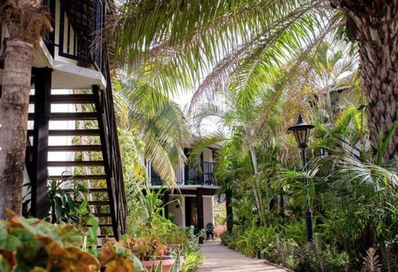 اتاق استاندارد, Bakotu