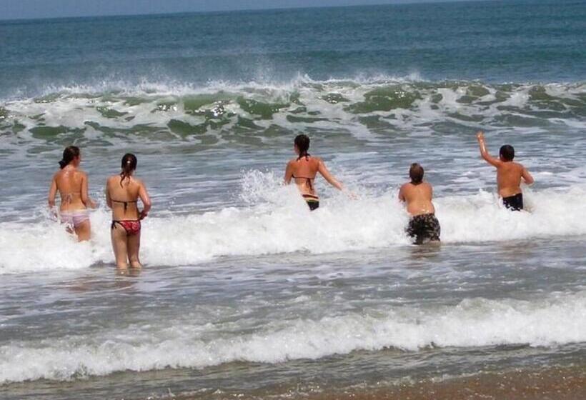 اتاق استاندارد, Bakotu