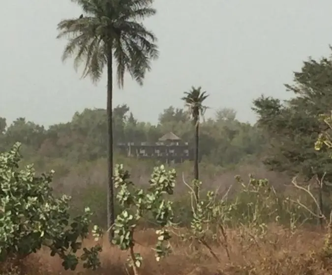 آپارتمان 1 خوابه, Bakotu