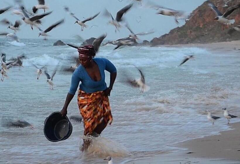 آپارتمان 1 خوابه, Bakotu