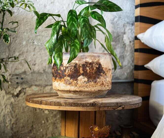 Люкс, Boutique Lafayette Tijuana