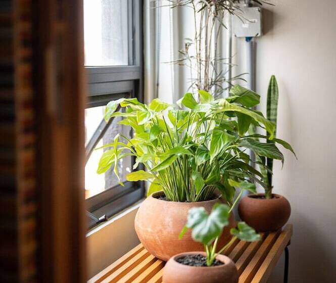 Люкс Superior, Boutique Lafayette Tijuana