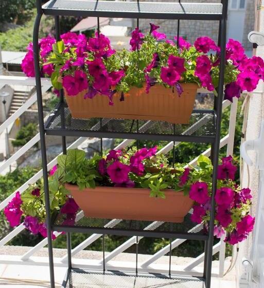 海の見える１ベッドルームアパートメント, Apartments Boćin Rosso