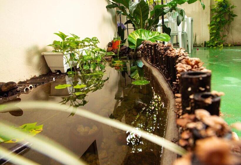 Номер Basic, Pousada Residencial Porto De Galinhas