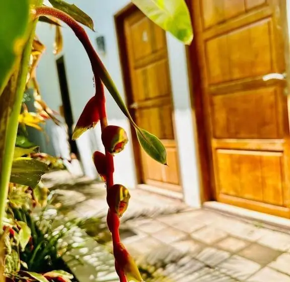 ルームシェアのワンベッド, Kuta Garden