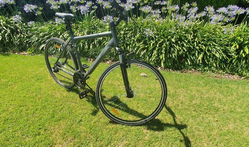 Семейные Апартаменты 3 Спальни, Parkview Motor Inn And Apartments