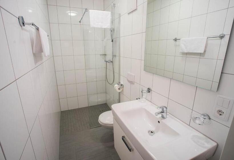 شقة غرفة نوم واحدة بالطابق الأرضى, Appart Gastauer