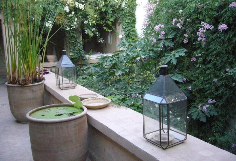 스탠다드 룸, Dar Zahia