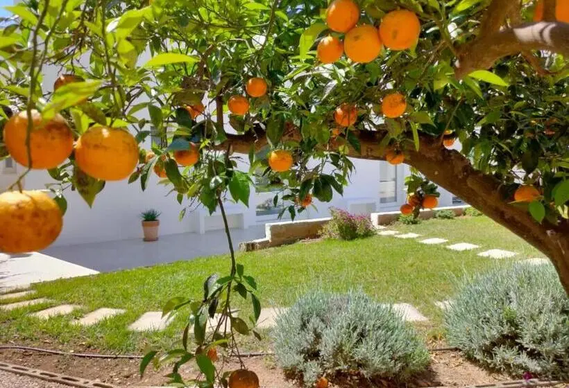 اتاق استاندارد با چشمانداز باغ, Corte Mercurio B&b