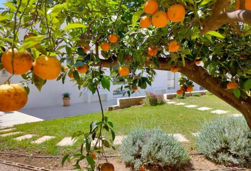 Стандартный Номер Кровать Кинг, Corte Mercurio B&b