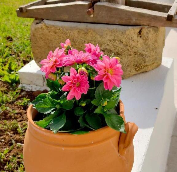 Стандартный Номер Кровать Кинг, Corte Mercurio B&b