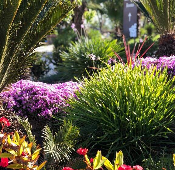 수피리어 룸, Oikos In Terre Di Zaccanello