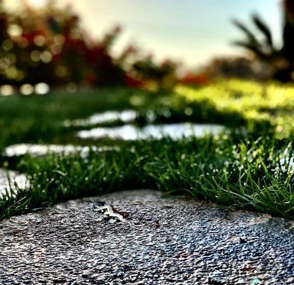 수피리어 룸, Oikos In Terre Di Zaccanello