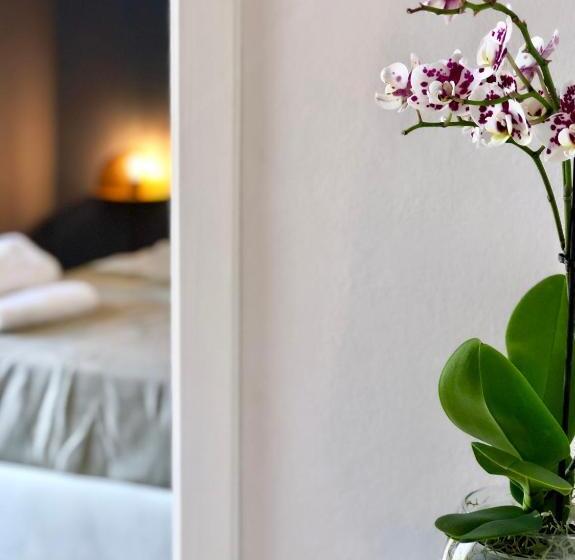 수피리어 룸, Oikos In Terre Di Zaccanello