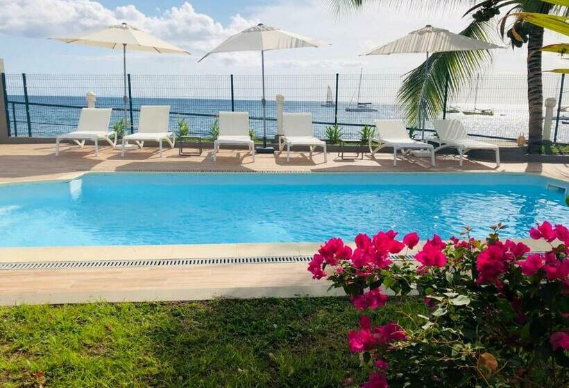 Superior Studio Sea View, Pelican