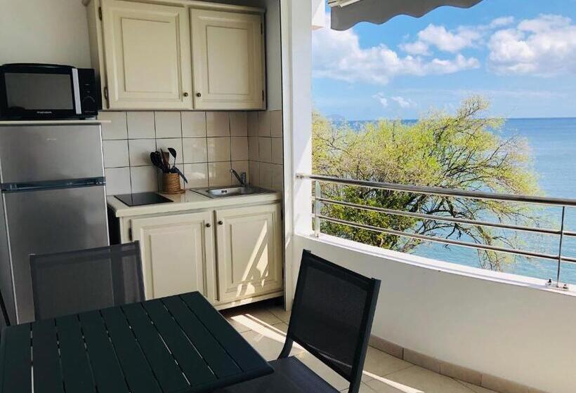 Superior Studio Sea View, Pelican