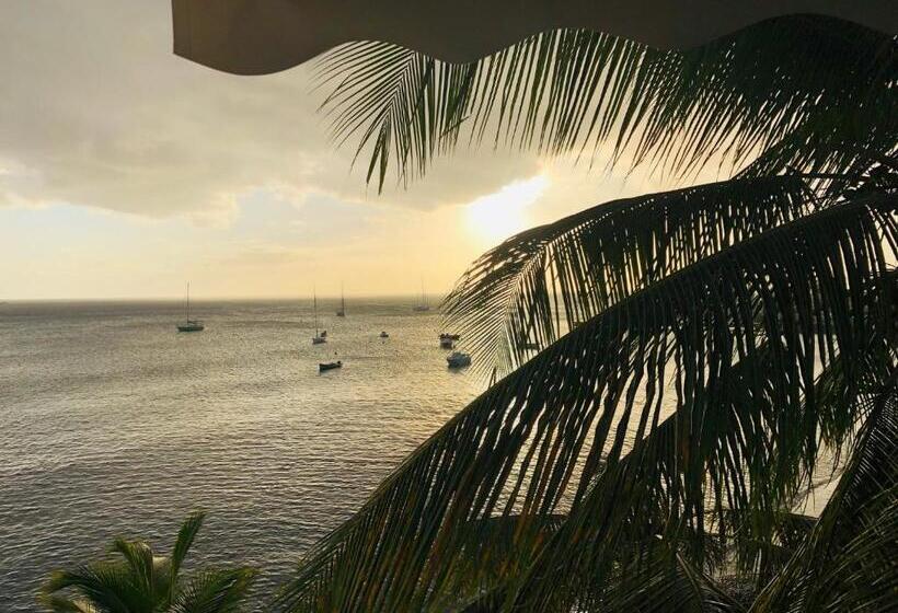 Superior Studio Sea View, Pelican