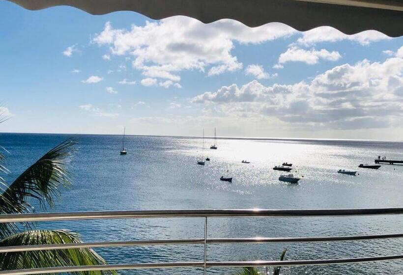 Superior Studio Sea View, Pelican