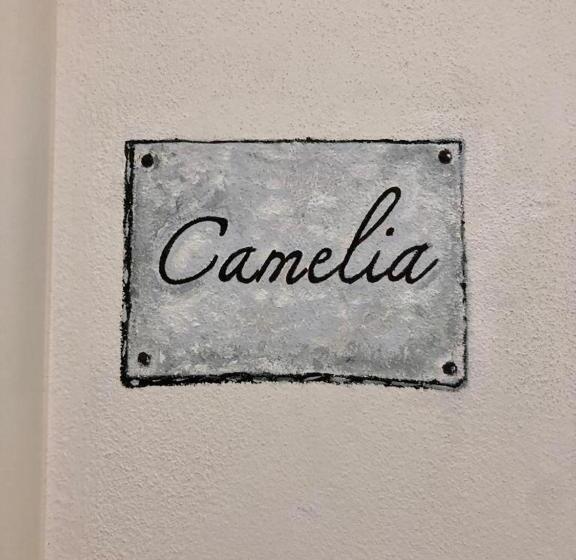 스탠다드 싱글 룸, Affittacamere Sull'arco