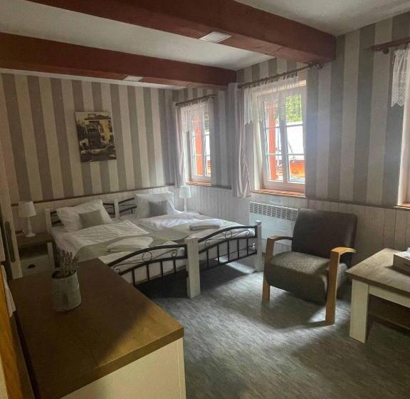 اتاق استاندارد برای معلولان, Penzion Zákoutí