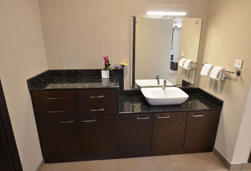 Апартаменты Ejecutiva 2 Спальни, Casa In Luxury Suites