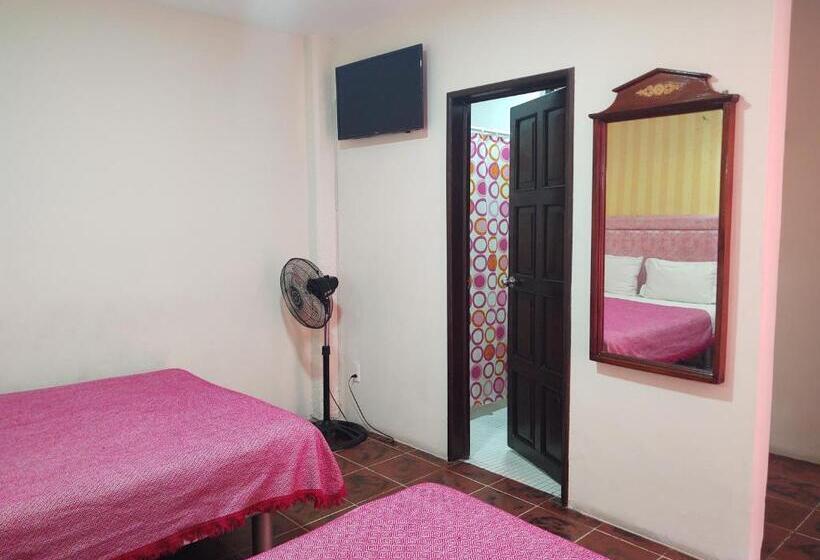 Standard Szoba, Flamingos