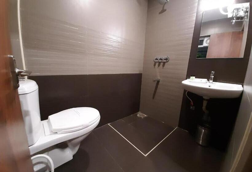 Номер Deluxe, Liza Regency