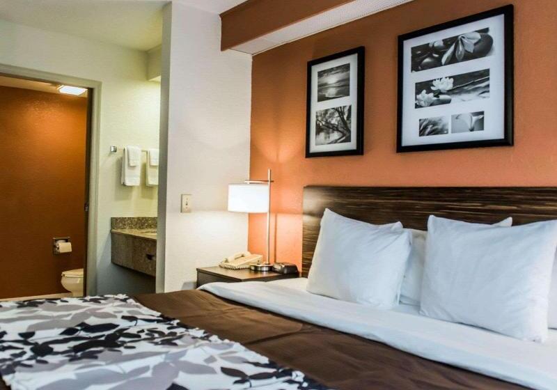 Camera Standard, Liza Regency