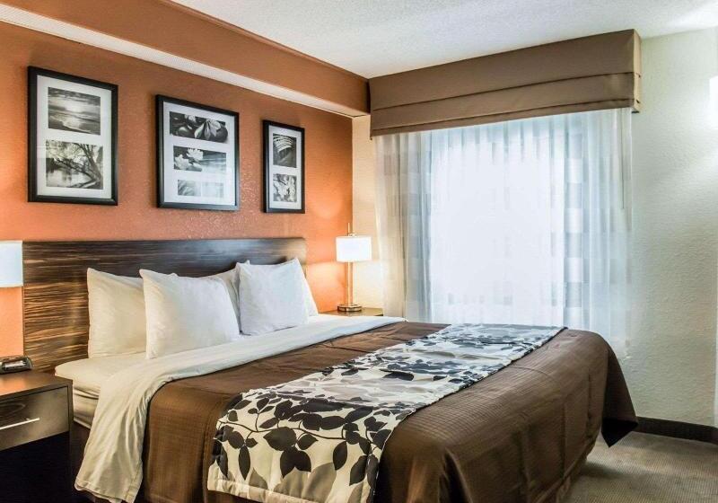 Camera Standard, Liza Regency