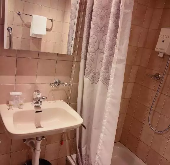スタンダードシングルルーム, Hôtel Des Trois Rois