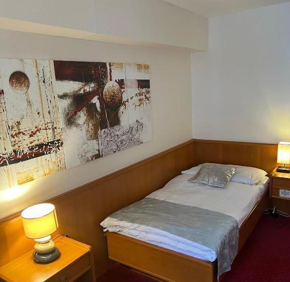 חדר סטנדרט יחיד, Hôtel Des Trois Rois